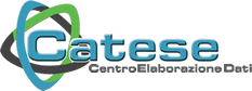 Catese - Elaborazione Dati